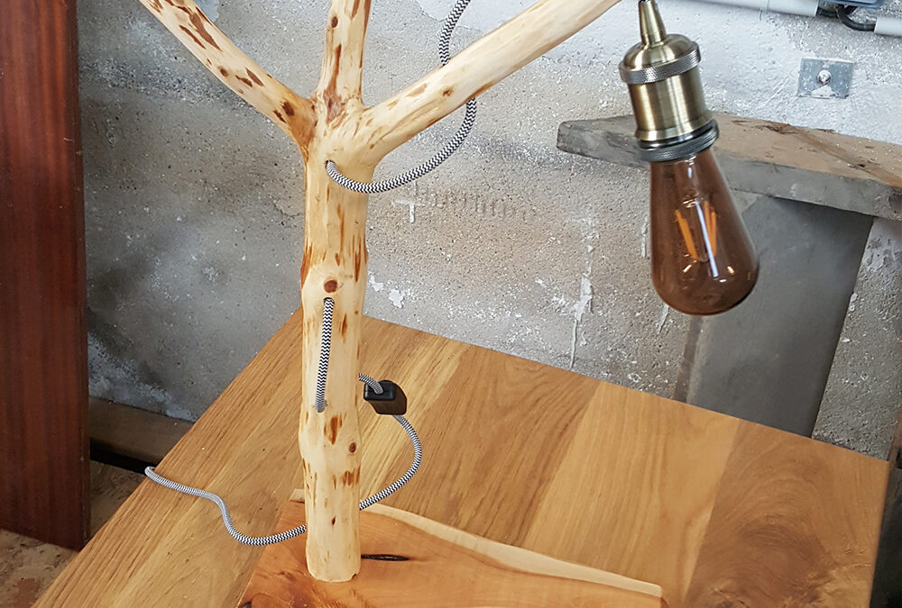 Lampe « branchée » #2